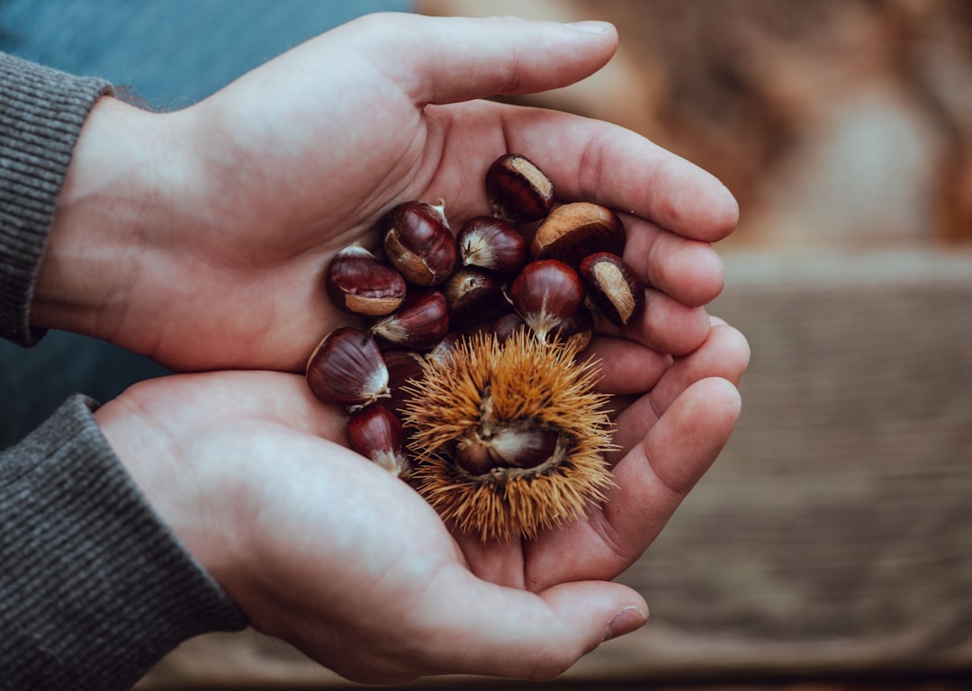 castanhas